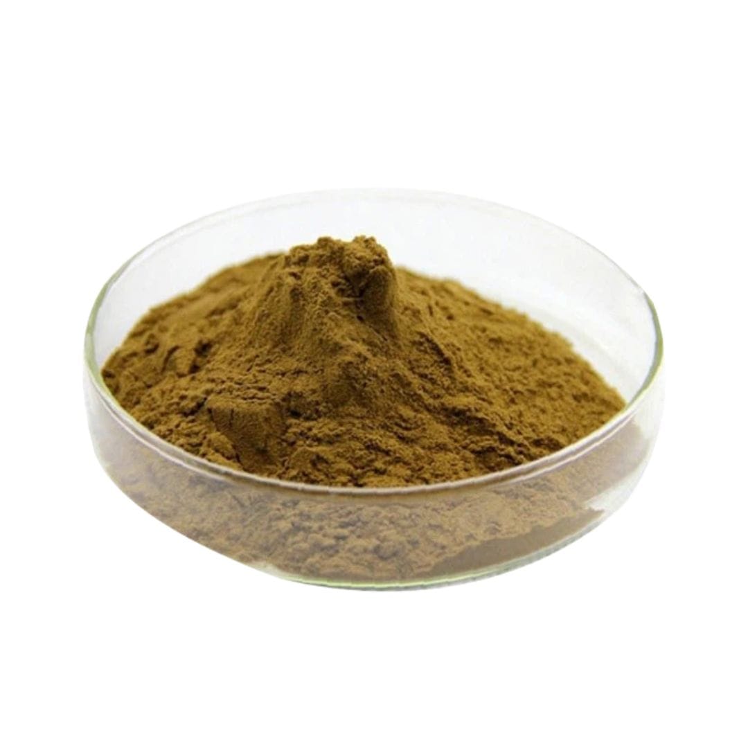 Polygala Tenuifolia Extract Powder
